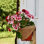 Casa vacanze Hlucov Lesni *