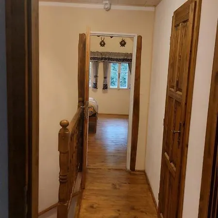 Hlucov Lesni Kokorin