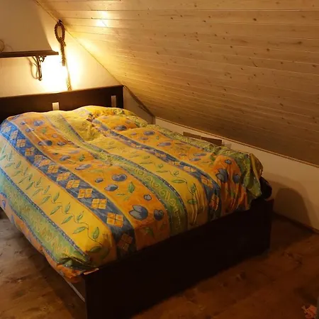 Hlučov Lesní * Kokorin