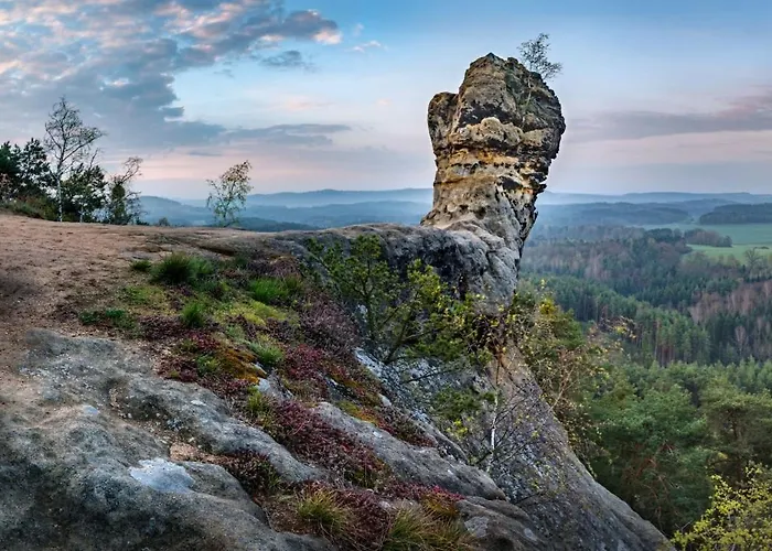 Hlucov Lesni Kokořín