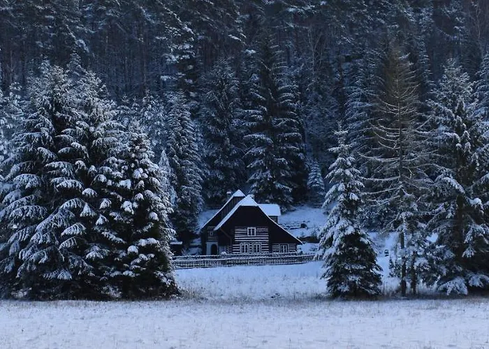 Hlucov Lesni بيت للعطل