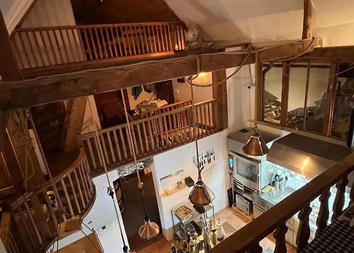 Nyaraló Hlucov Lesni *